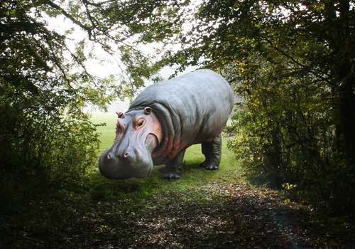 Nellie het Nijlpaard..